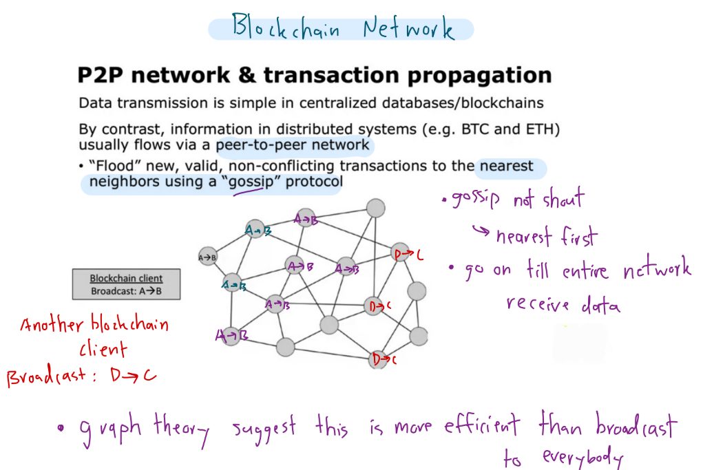 Blockchain network
