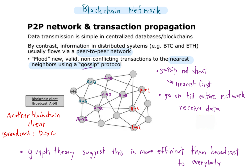 Blockchain network
